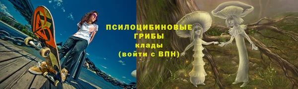 соль курить ск Алексеевка