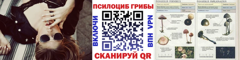 Галлюциногенные грибы Psilocybe  как найти наркотики  Донецк 